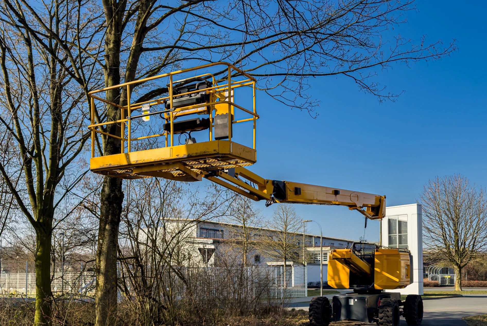 Aerial lift tree work for properties in Westchester County