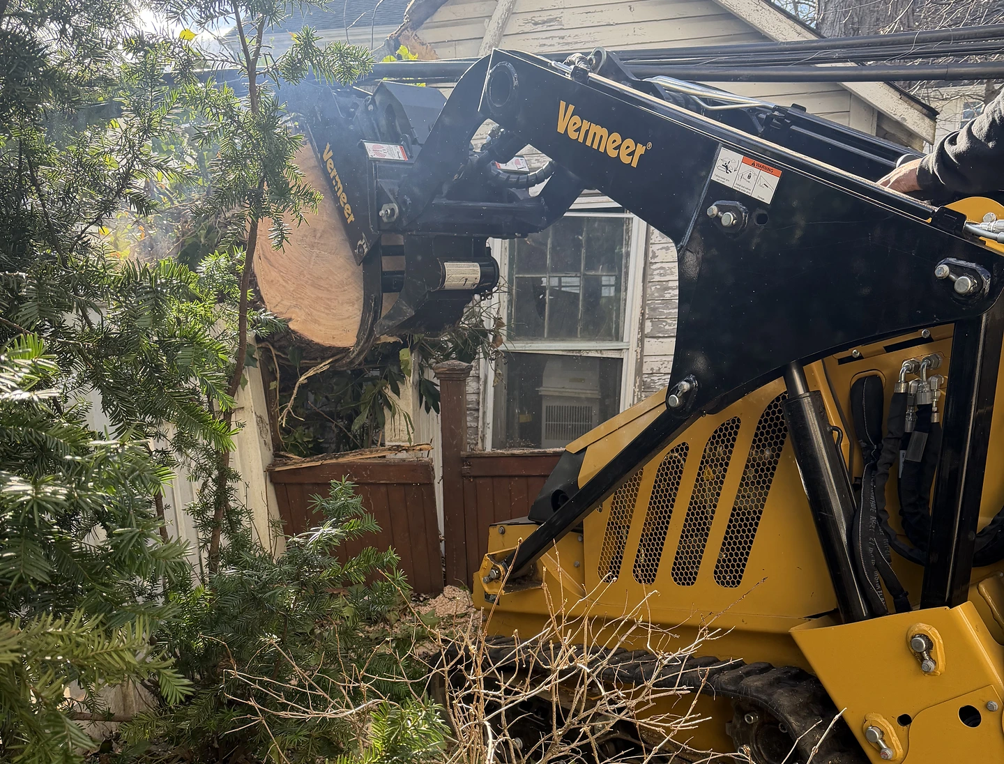 Emergency tree work for damaged trees