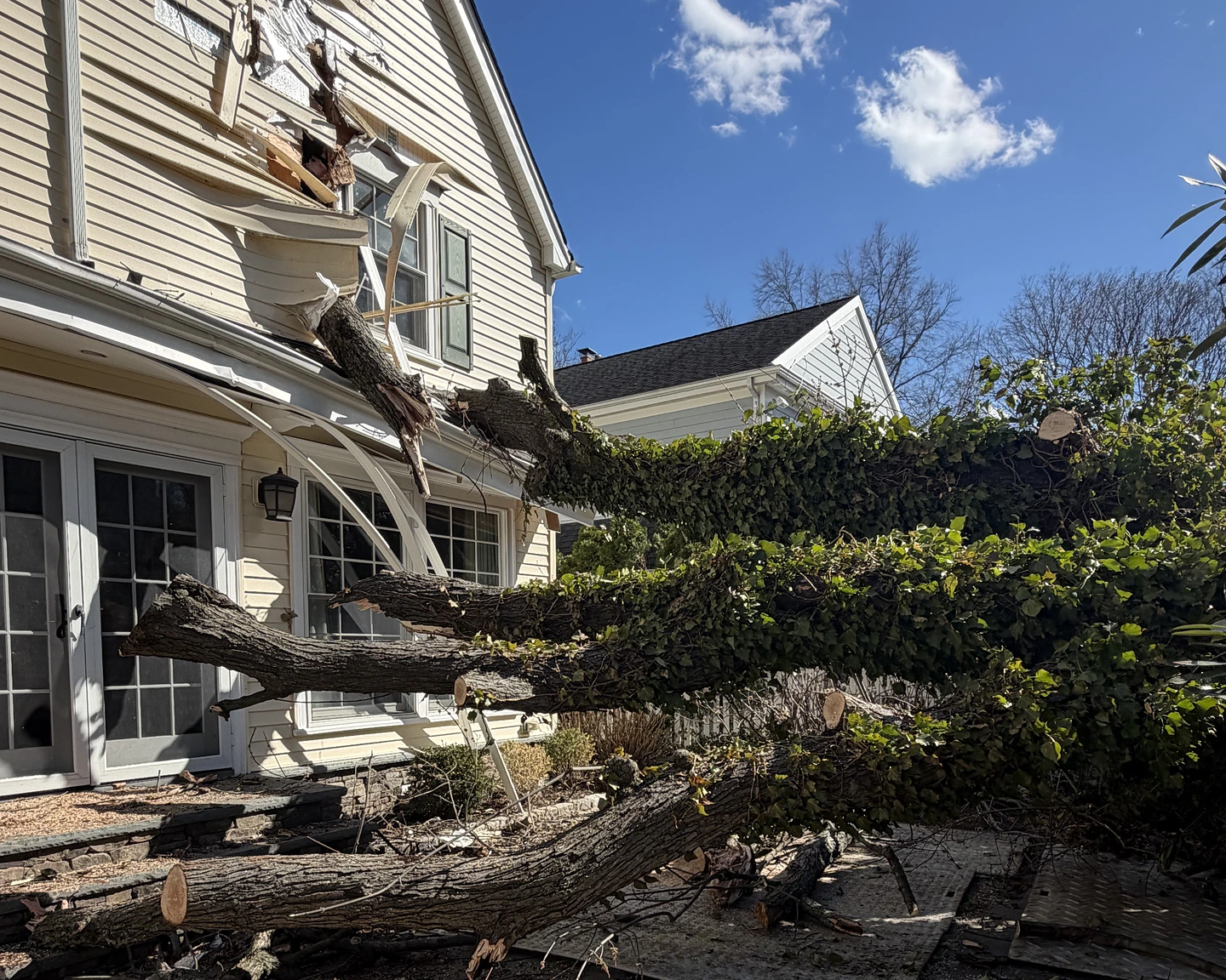 Emergency Tree Services