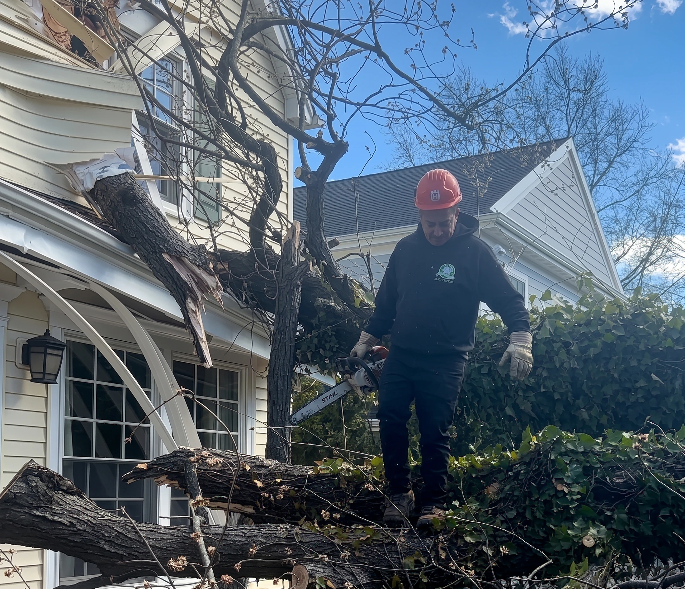 Emergency tree removal work involving damaged tree sections