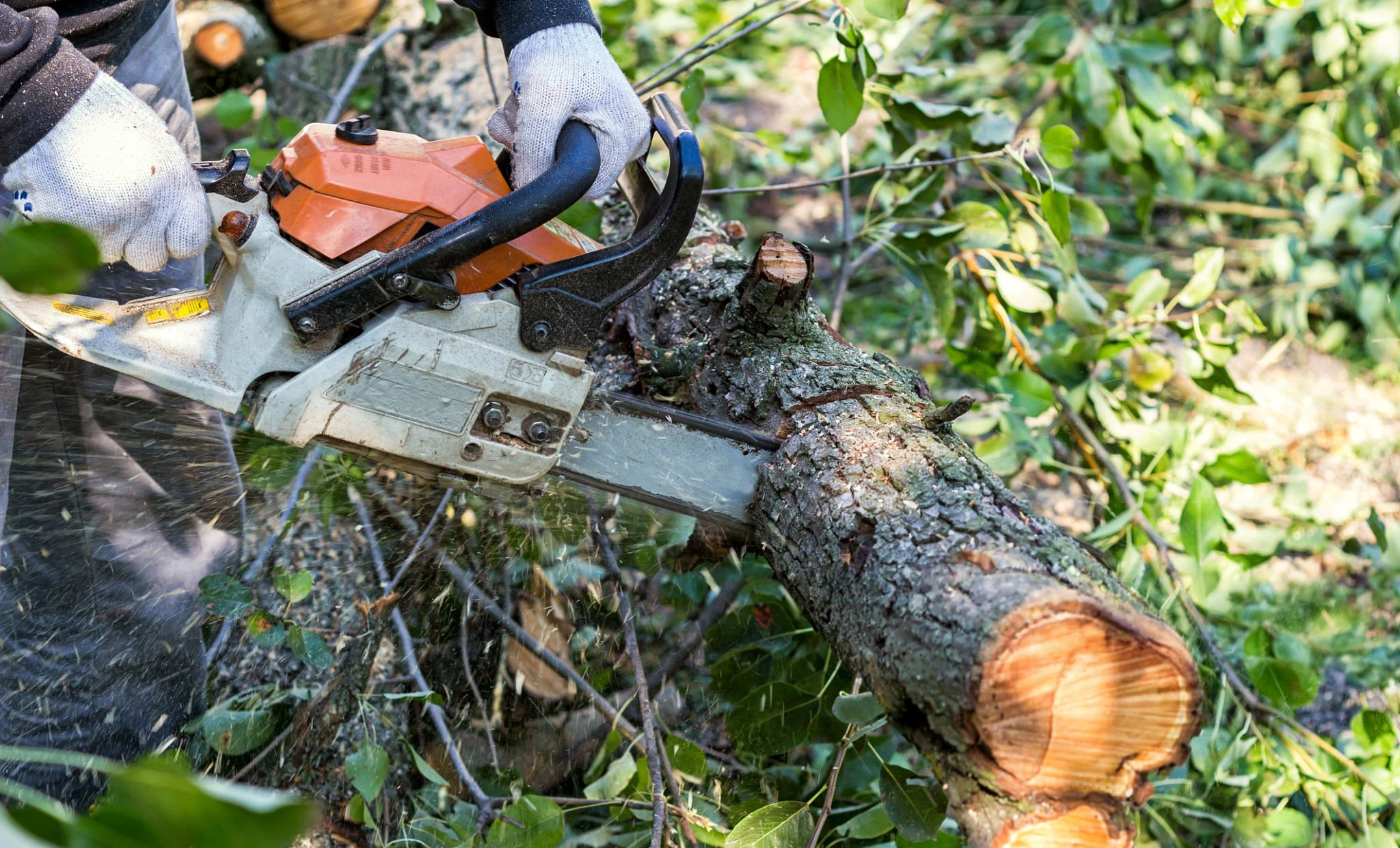 Fallen or hazardous tree work for Tree Service Bayside NY