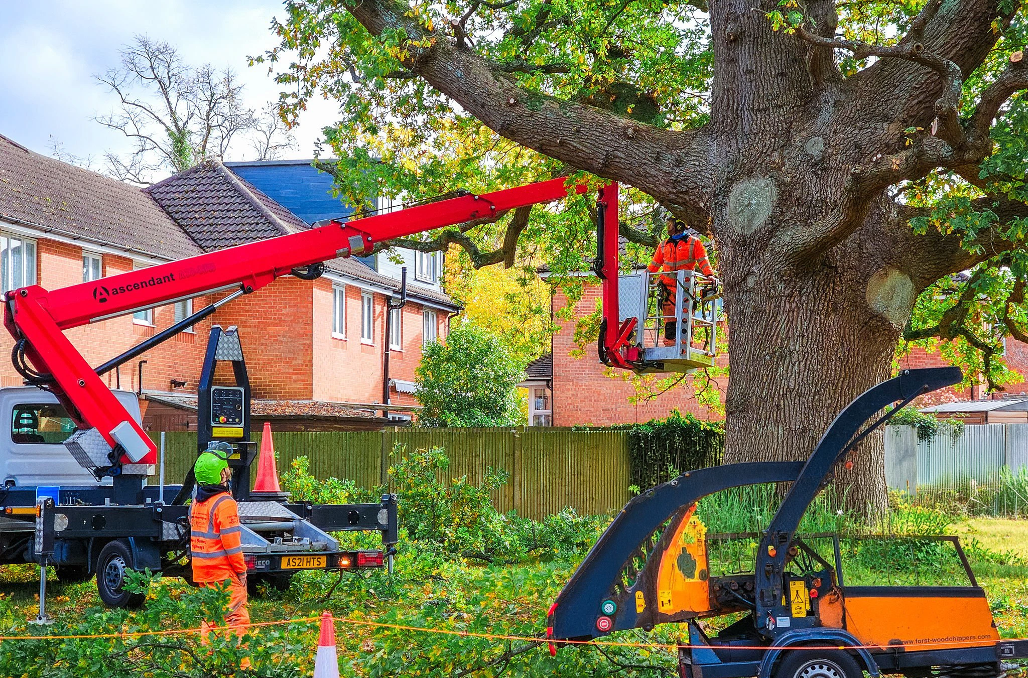 Fallen or hazardous tree work for Tree Removal Douglaston NY
