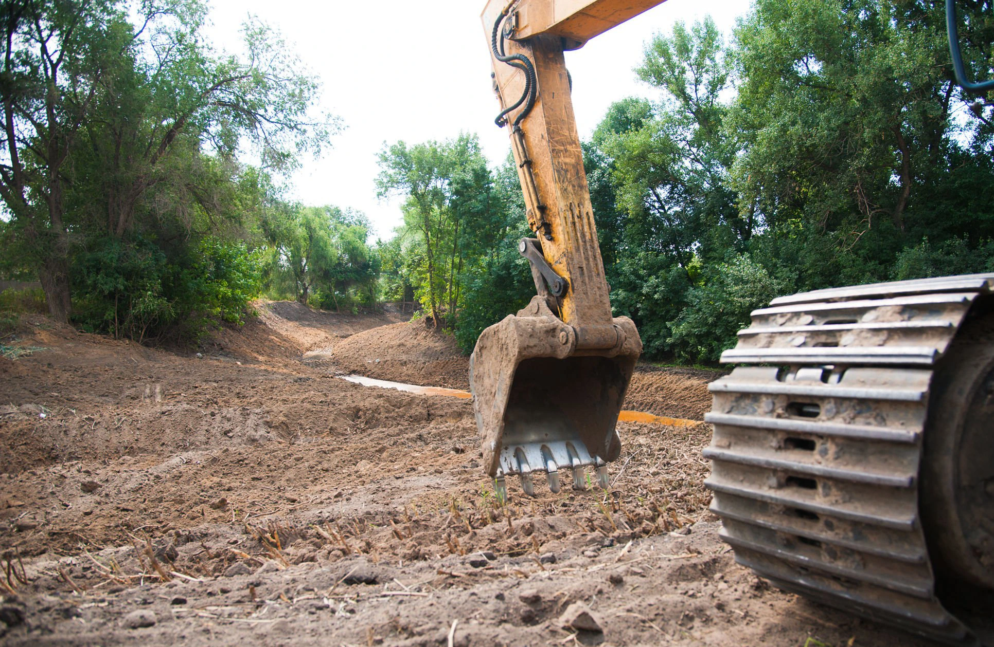Land Clearing & Logging