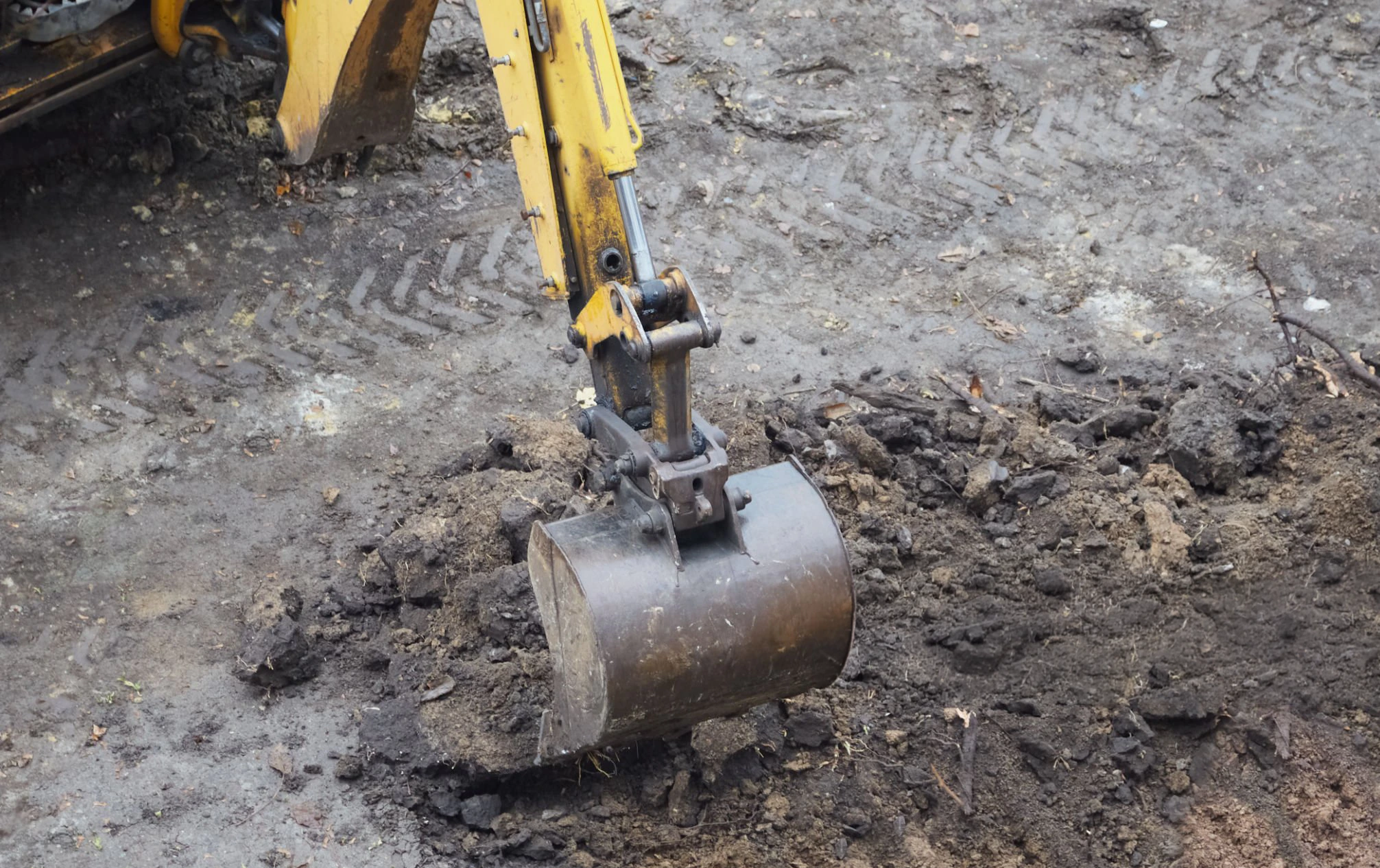 Land clearing work for properties in Kings County