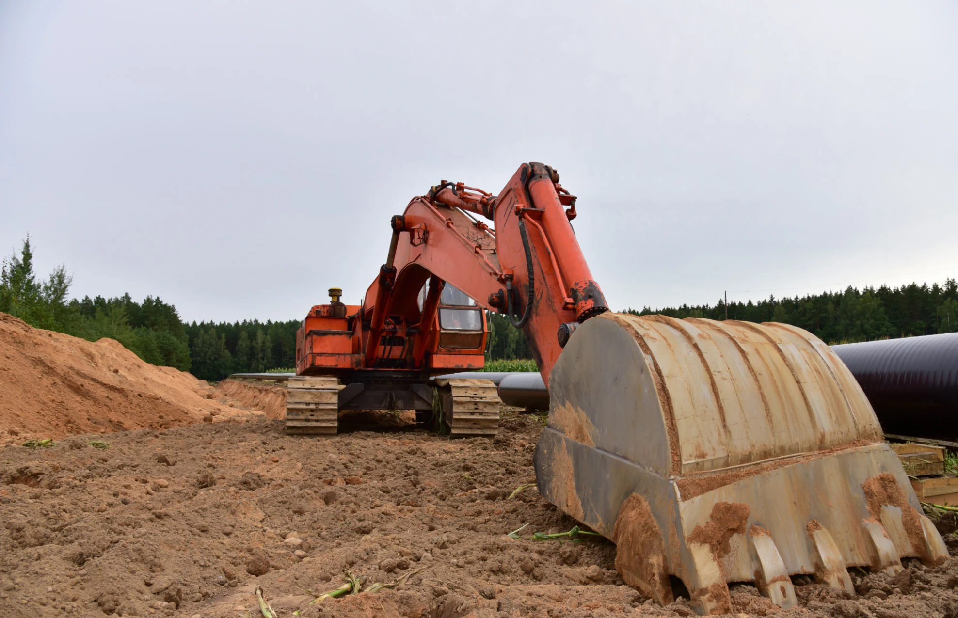 Tree cutting and land clearing for logging work