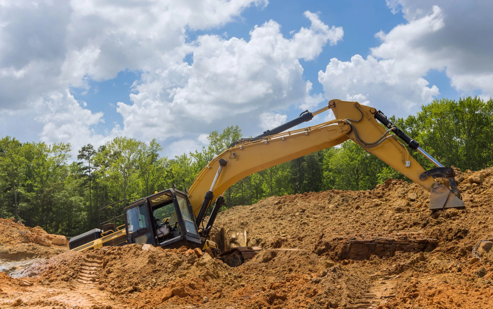 Tree and vegetation clearing for outdoor property preparation