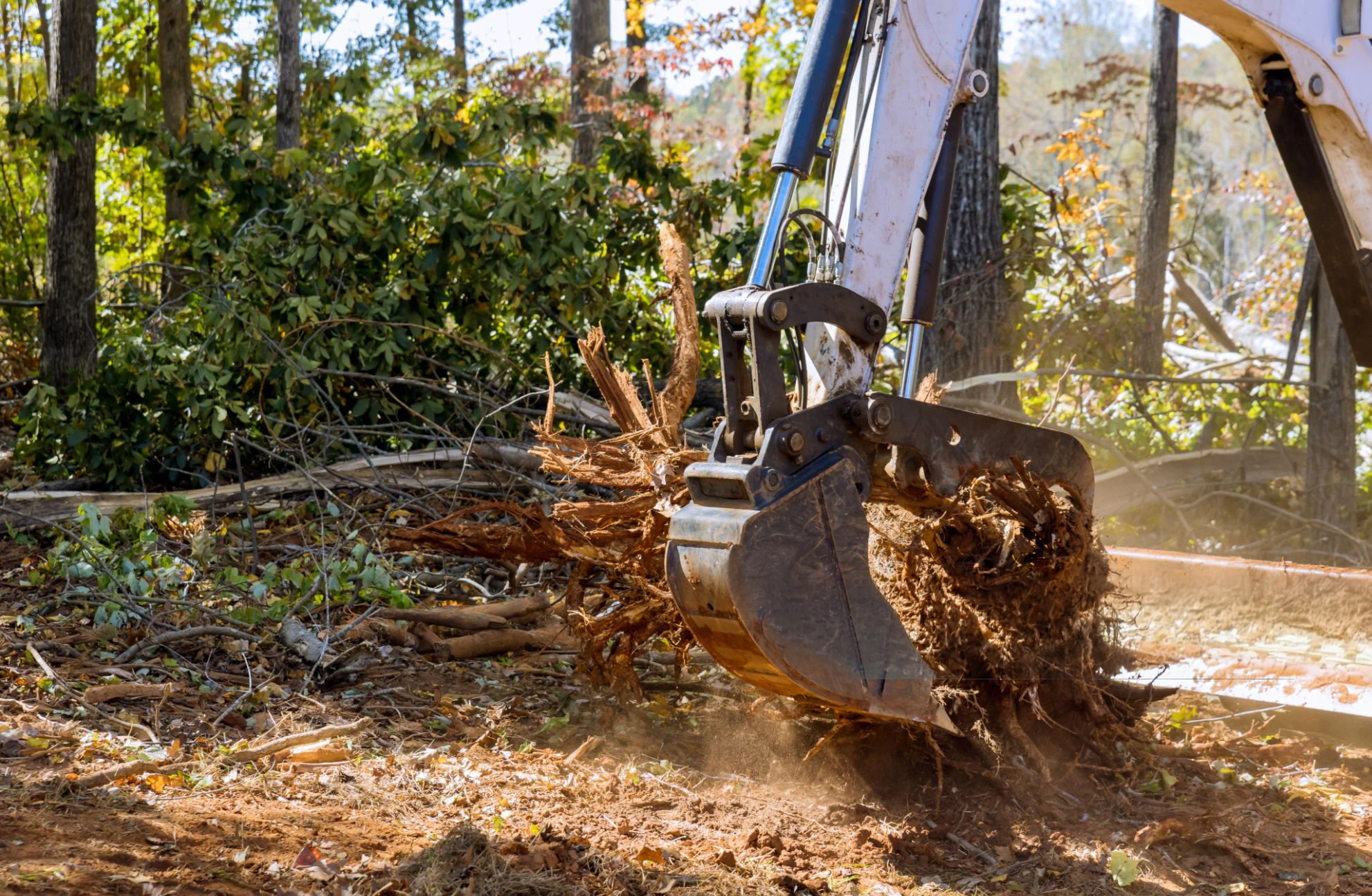 Stump grinding and removal for properties in Kings County