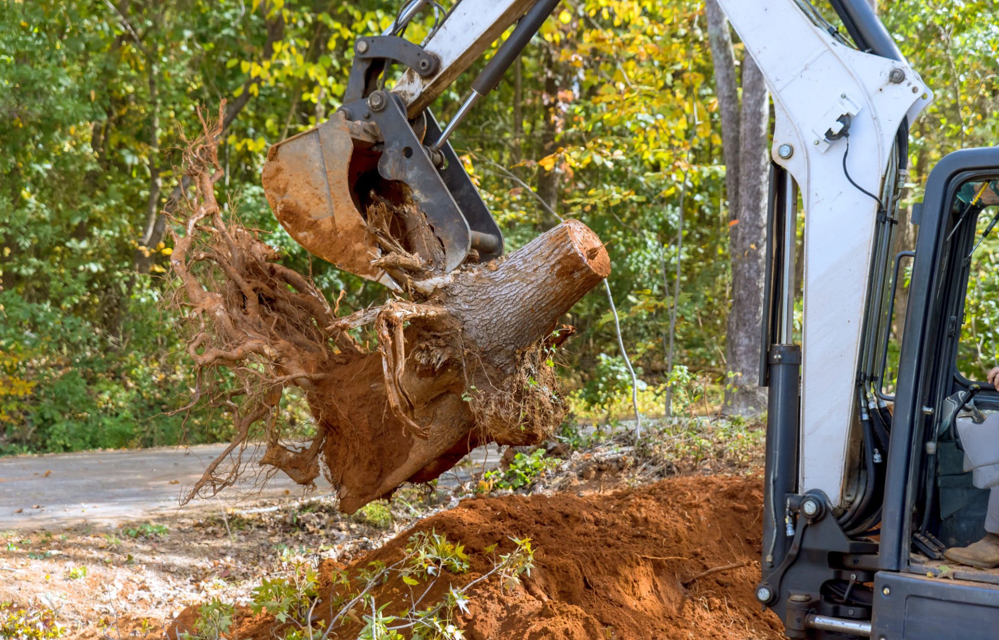 Stump removal work for Tree Removal Douglaston NY
