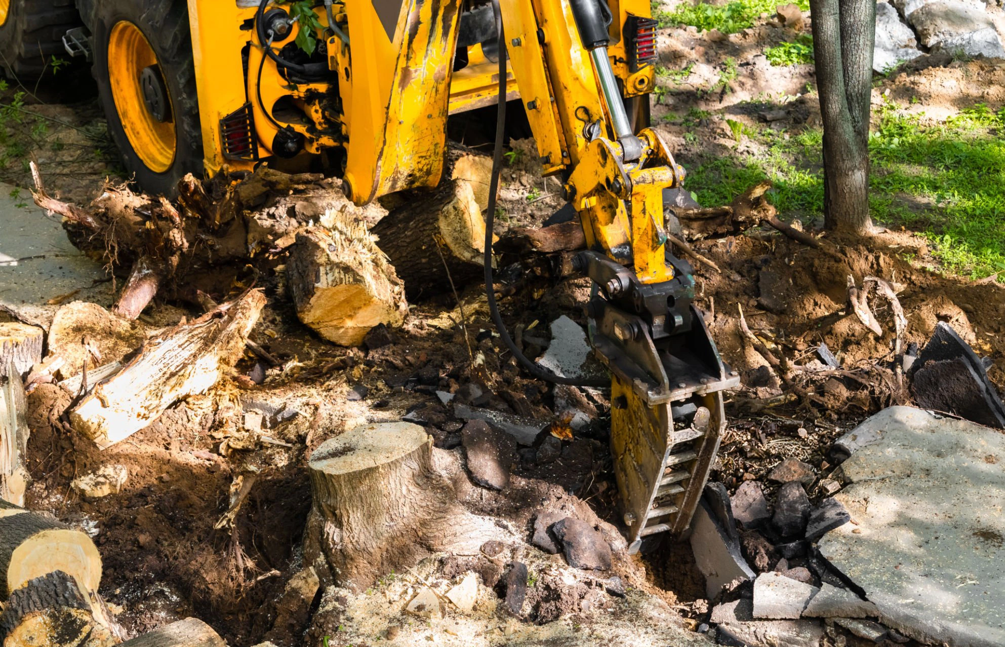 Stump removal work for Tree Pruning in Northport NY