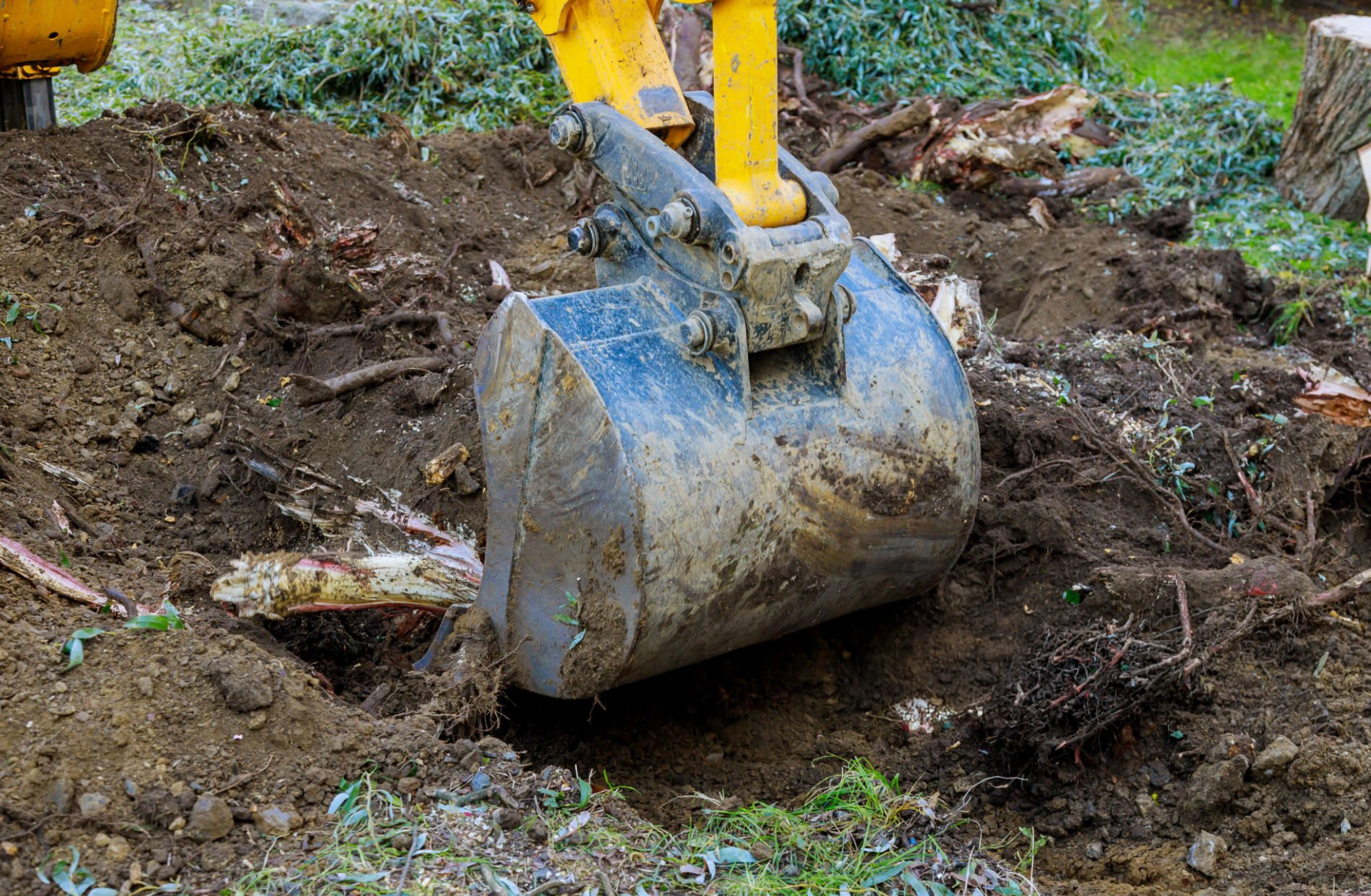 Stump removal work for an outdoor property area