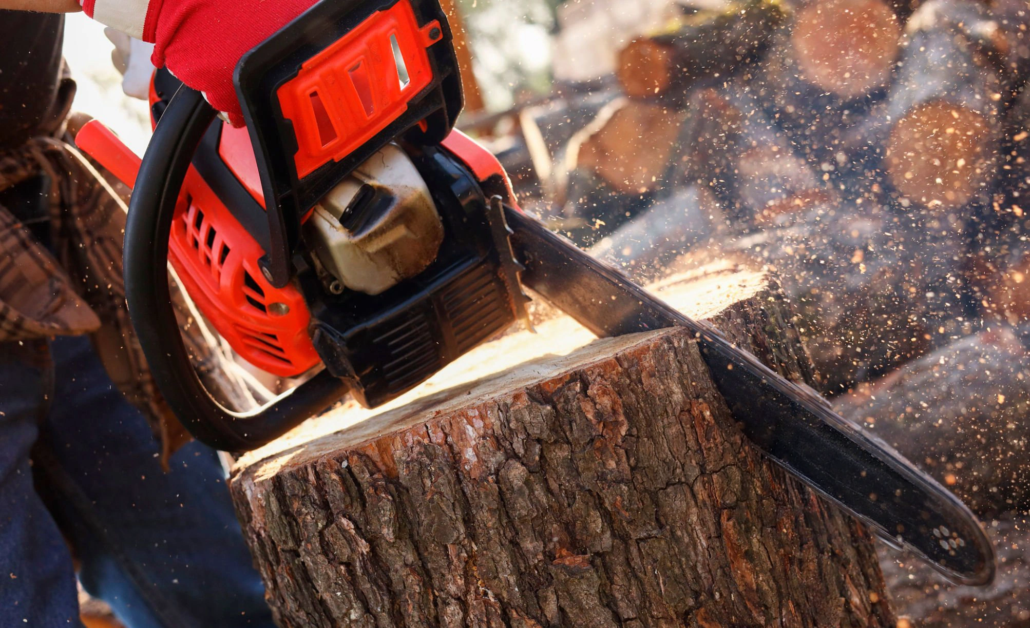 Tree and limb removal work for a property