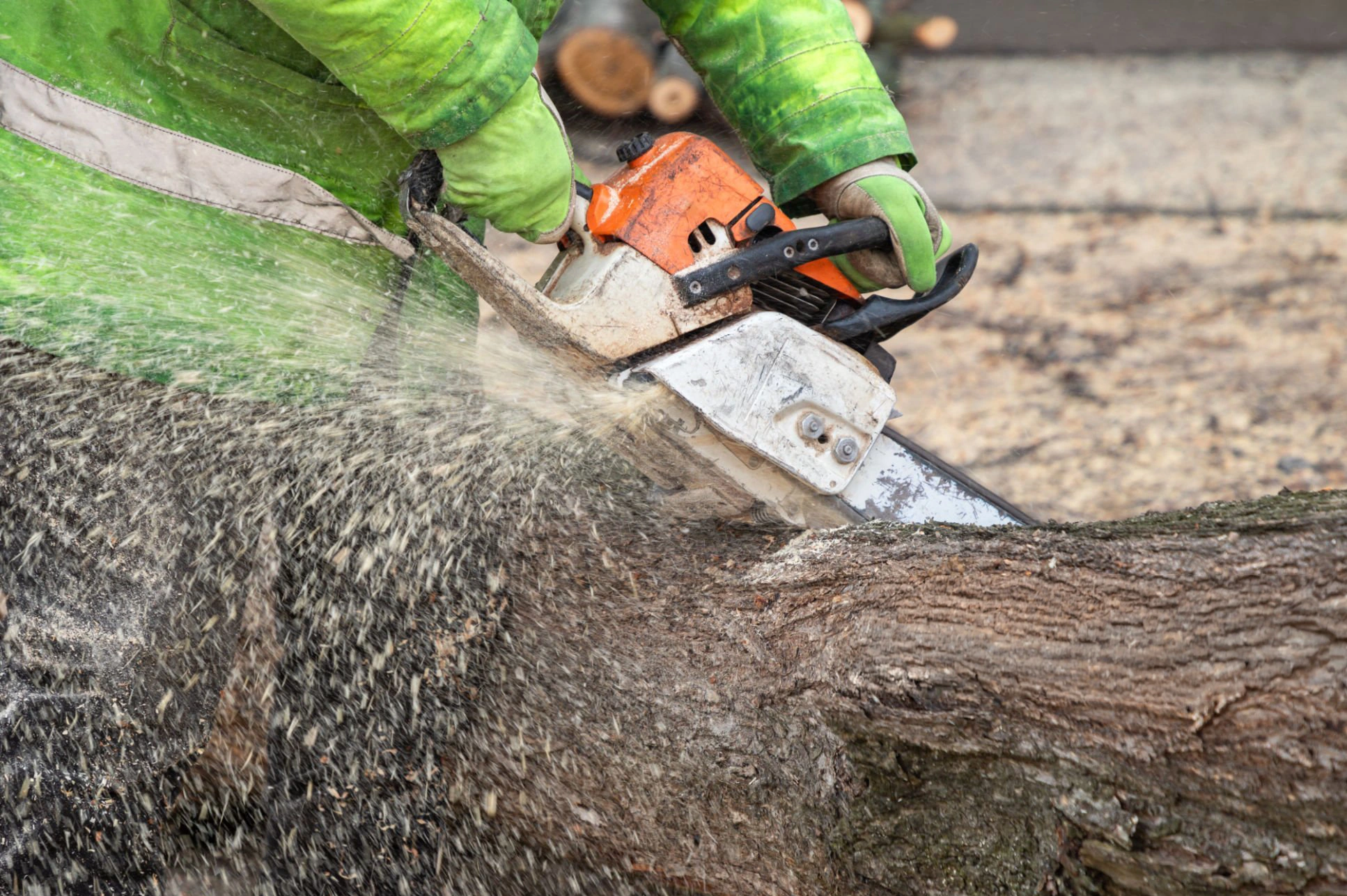 Tree removal cost NY information for tree cutting and removal work