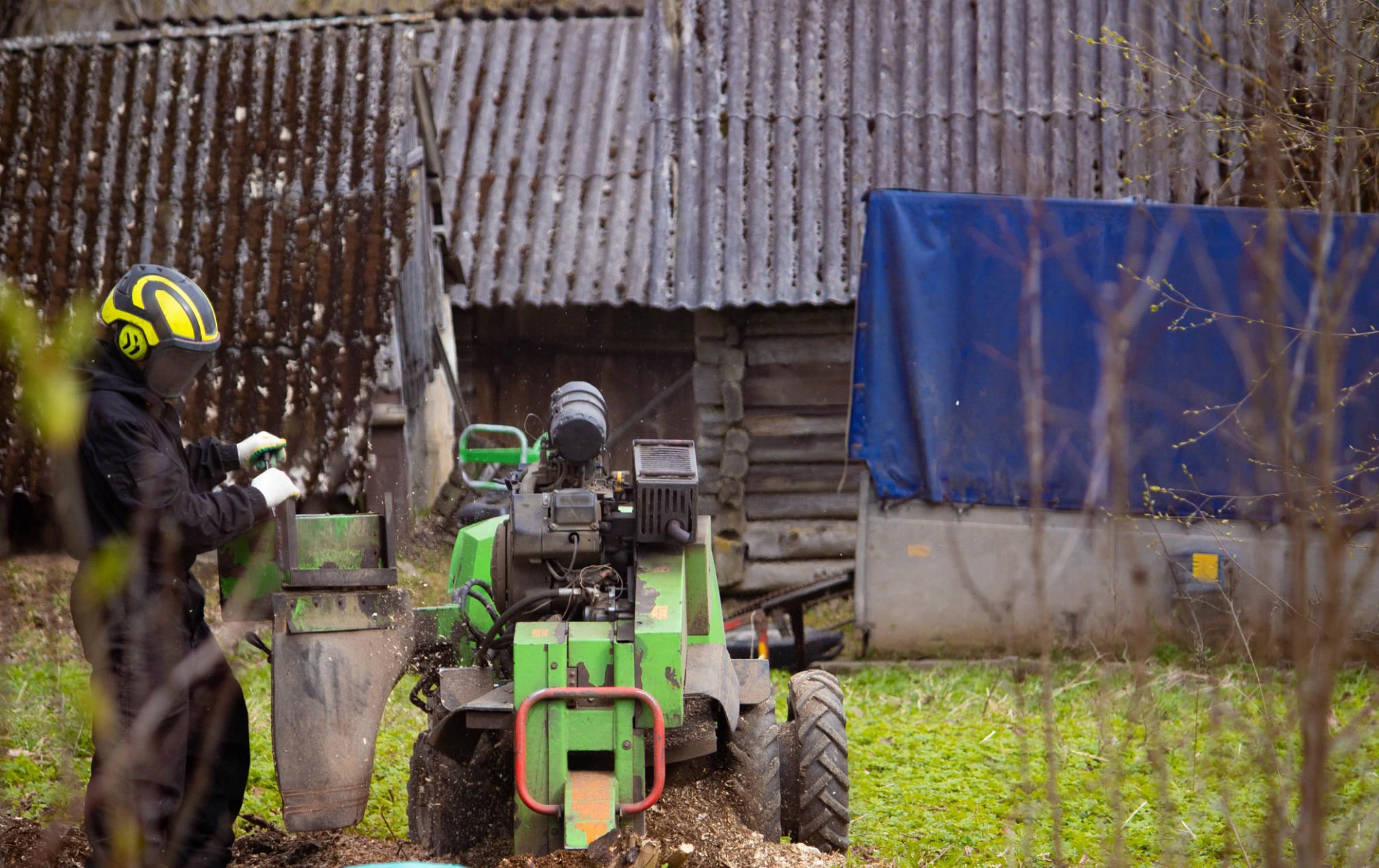 Stump grinding work for Tree Pruning in Northport NY