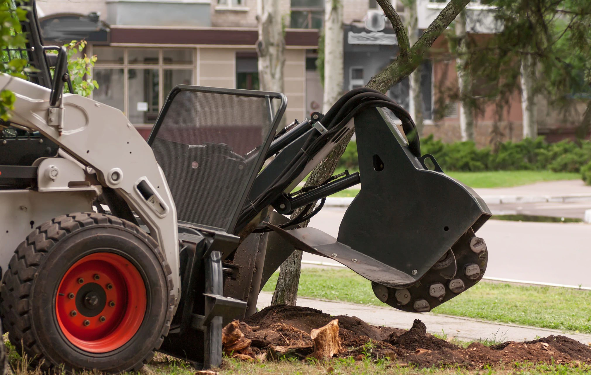 Stump grinding and removal for properties in Queens