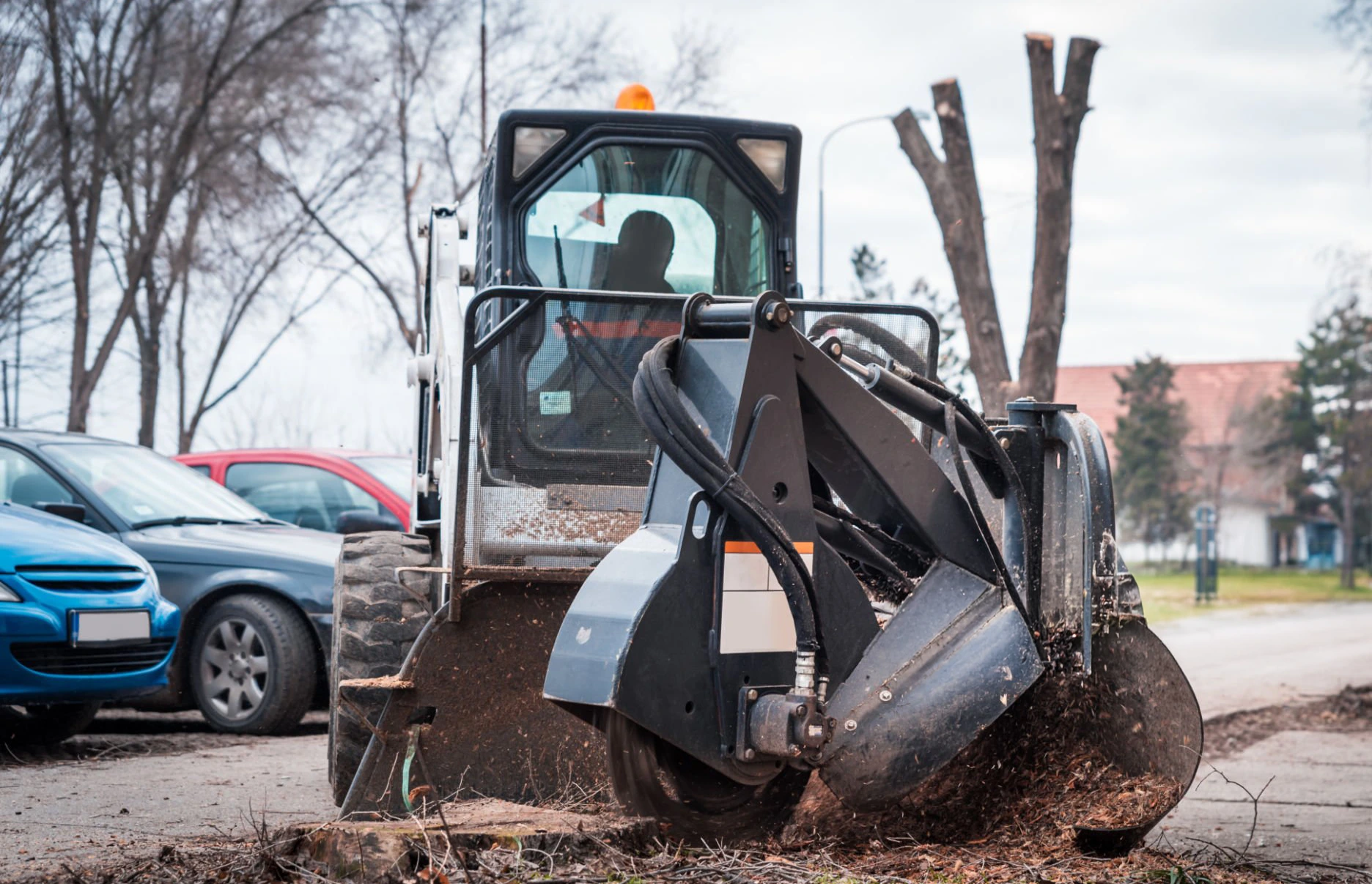 Stump grinding site preparation for future landscaping