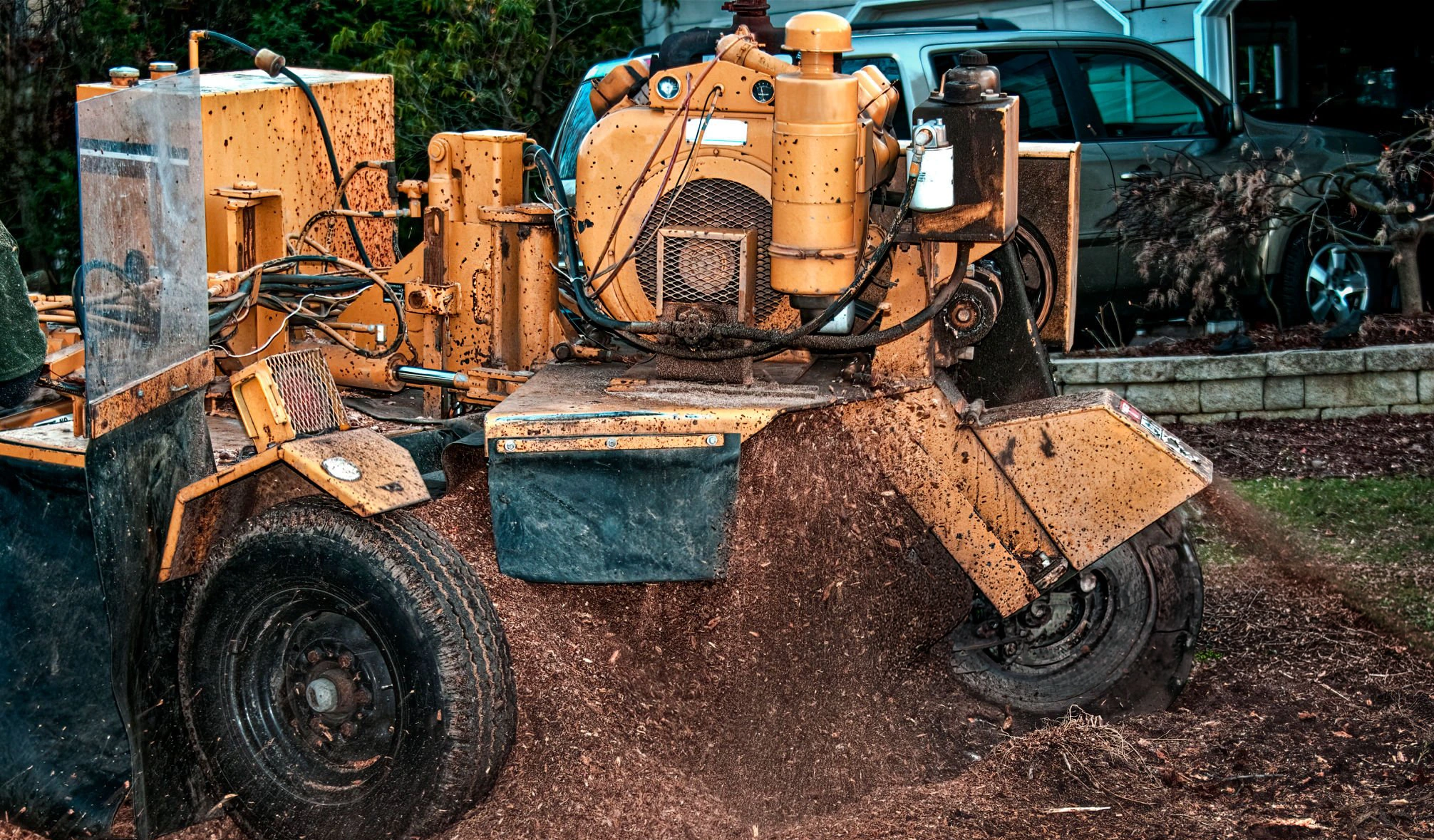 Stump grinding work for Tree Service Marine Park Brooklyn NY