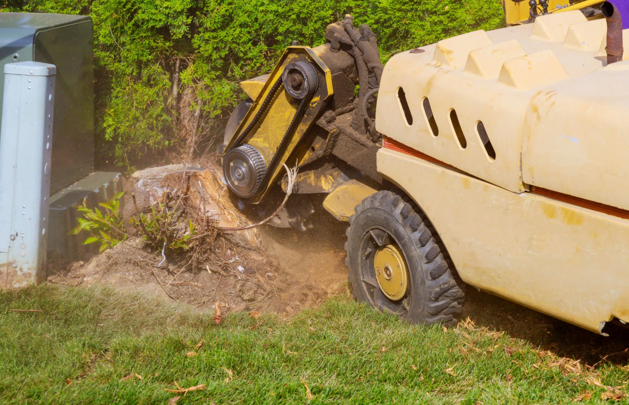 Stump Grinding & Removal