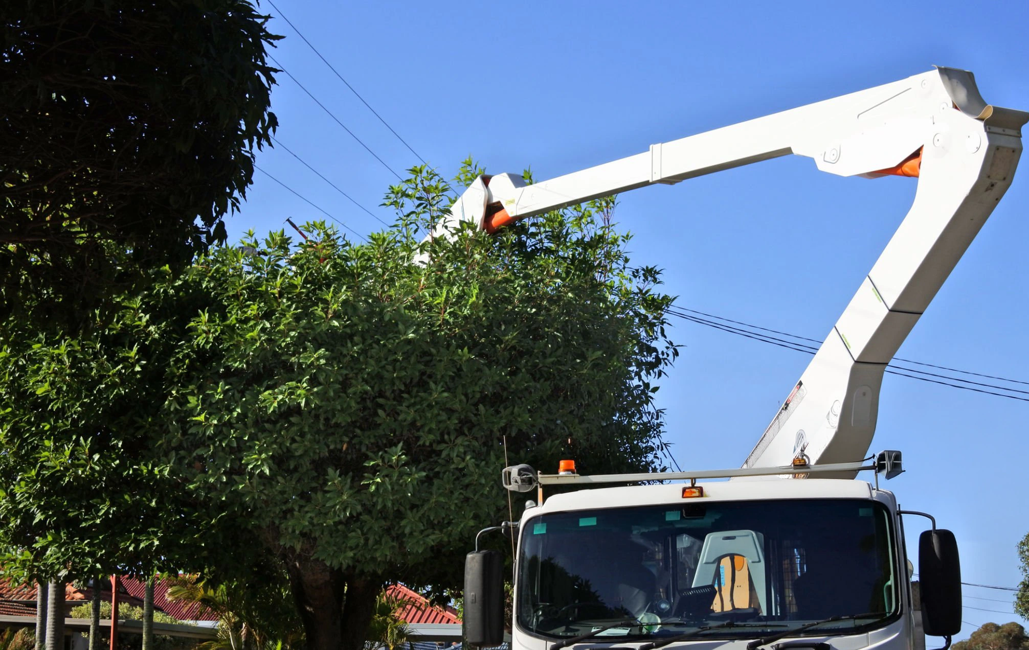 Tree trimming work for Tree Removal Douglaston NY